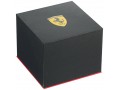 Relógio Masculino Ferrari Quartz Brown Watch